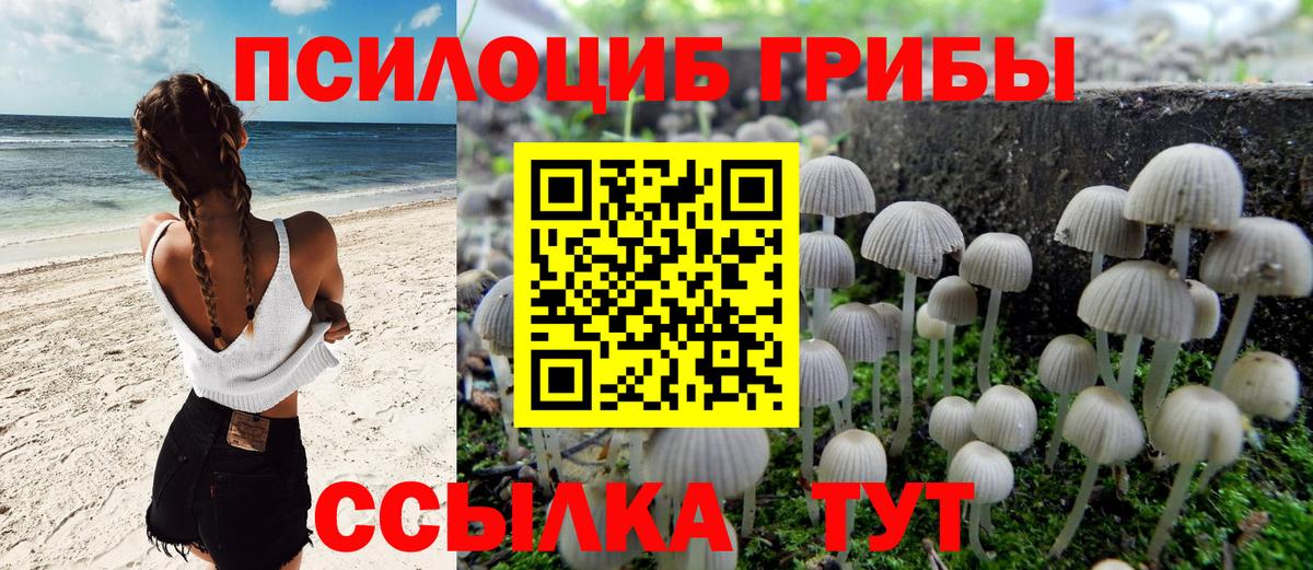 Вязники  Галлюциногенные грибы Cubensis  Псилоцибиновые грибы Magic Shrooms  Вход с VPN 