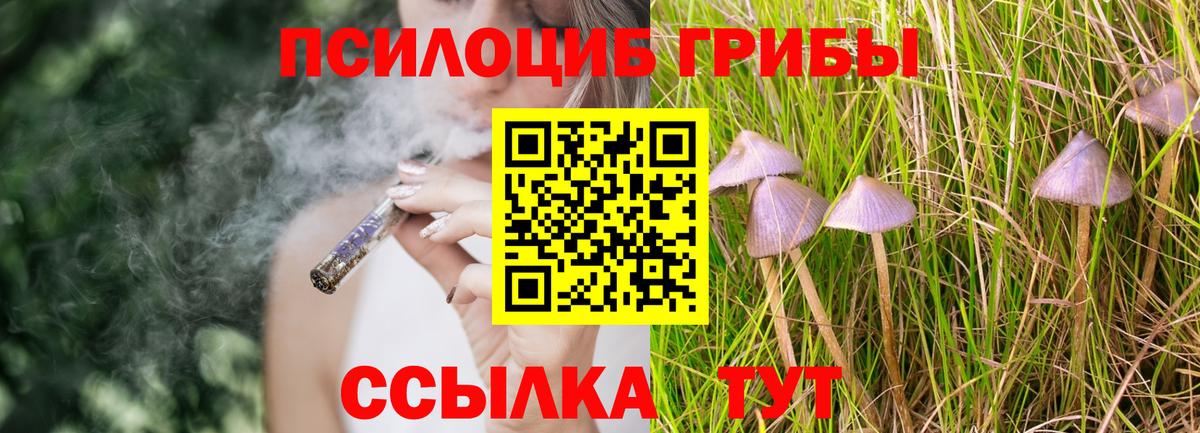 Галлюциногенные грибы MAGIC MUSHROOMS Вязники